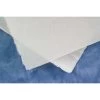 24 1/2 X 39" Handmade Kaji Paper (5 Sheets) 1 24 1/2 X 39" Handmade Kaji Paper (5 Sheets) -Preservation Shop 51037