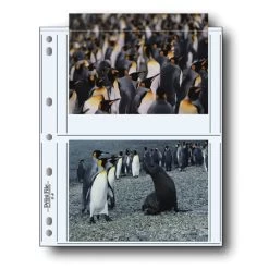 Print File® 8 Mil Polypropylene Album Pages For 5 X 7" Prints (25-Pack)