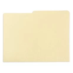 Gaylord Archival® Reinforced Half-Cut Tab International A4 Size File Folders (100-Pack)