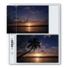 Print File® Clear Polypropylene Compact Album Pages (12-Pack) 1 Print File® Clear Polypropylene Compact Album Pages (12-Pack) -Preservation Shop CAP 46