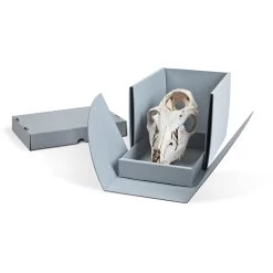 Gaylord Archival® E-flute Drop-Front Artifact Box With Slide-Out Tray