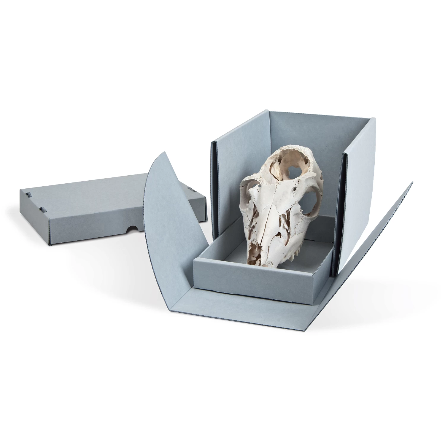 Gaylord Archival® E-flute Drop-Front Artifact Box With Slide-Out Tray 3 Gaylord Archival® E-flute Drop-Front Artifact Box With Slide-Out Tray