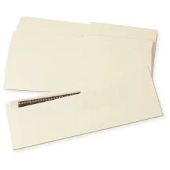 Gaylord Archival® 80 Lb. Unbuffered Text Negative Strip Envelopes (50-Pack)