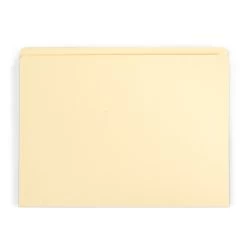 Gaylord Archival® Reinforced Full 1/2" Tab International A4 Size File Folders (100-Pack)