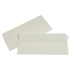 Gaylord Archival® 80 Lb. Text Buffered Negative Strip Envelopes (100-Pack) -Preservation Shop WE210a