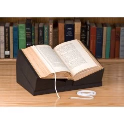 Flex Snake Weight (2-Pack)