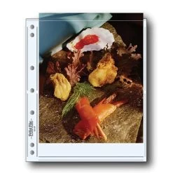 Print File® 8 Mil Polypropylene Album Pages For 8 1/2 X 11" Prints (25-Pack)