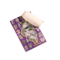 Document Cleaning Pad