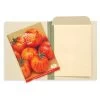 Gaylord Archival® Envelope Binders (10-Pack) -Preservation Shop geb7510