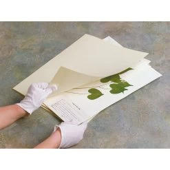 Gaylord Archival® 20 Pt. Genus Covers (10-Pack)