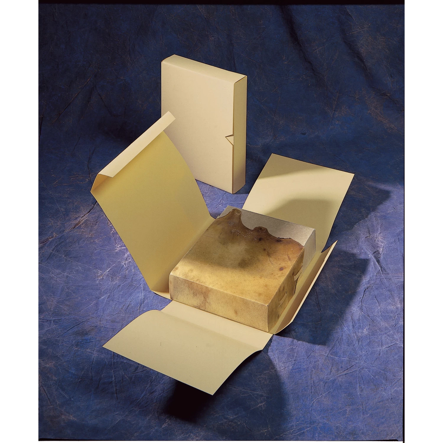 Gaylord Archival® 19 Pt. Heavy-Weight Folder Stock (50-Pack) 4 Gaylord Archival® 19 Pt. Heavy-Weight Folder Stock (50-Pack) - Image 2