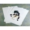 NYBG Style Herbarium Paper (100 Sheets) 1 NYBG Style Herbarium Paper (100 Sheets) -Preservation Shop ghp0095