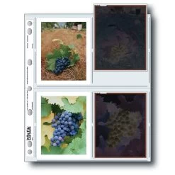 Print File® Polyethylene 4 X 5" Negative Preservers (100-Pack)
