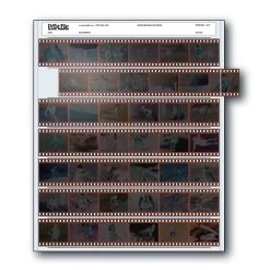 Print File® Polyethylene 35mm Negative Preservers (100-Pack)