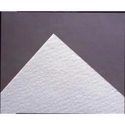 Unbuffered Blotting Paper (10-Pack)